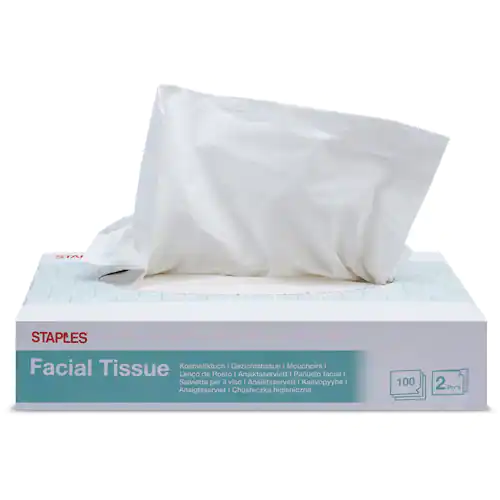 Staples Ansiktsservett, 2-lagers, 100 ark, 207 mm, vita