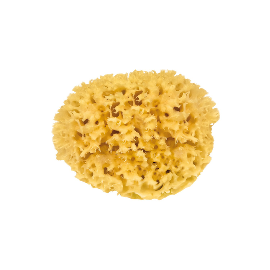 Croll & Denecke Natural Bath Sponge 8 cm
