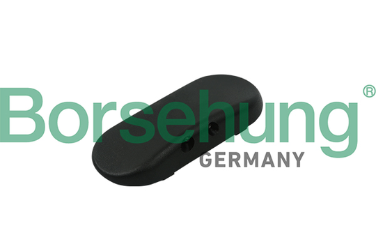 Munstycke, vindrutespolning Borsehung B18497