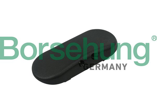 Munstycke, vindrutespolning Borsehung B18496