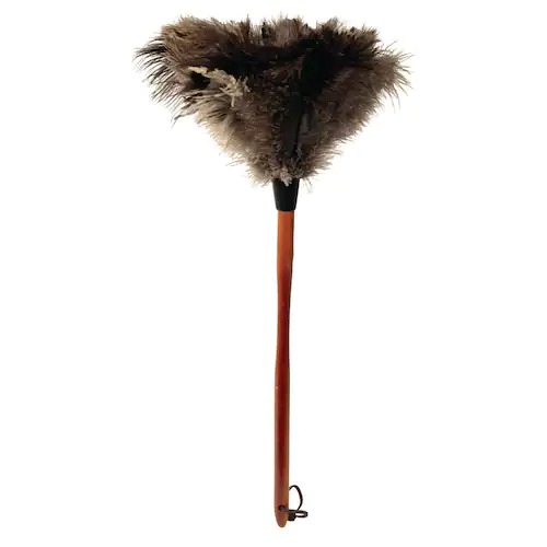 Hygienteknik Dammvippa Struts 60cm