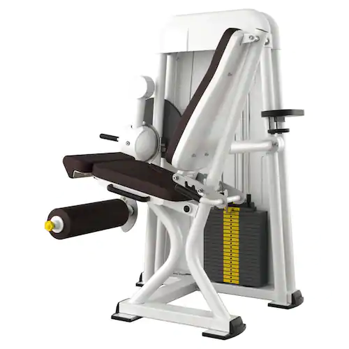 ERGO-FIT Leg extension 4000