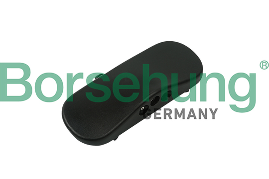 Munstycke, vindrutespolning Borsehung B18494